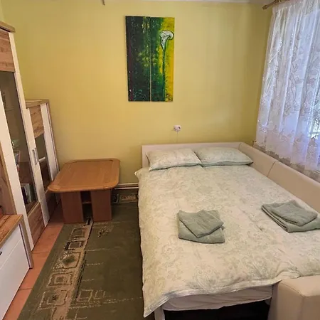 Apartma Rozman Apartment Radenci